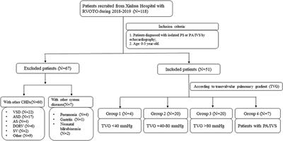 Elabela: A Novel Biomarker for Right Ventricular Pressure Overload in Children With Pulmonary Stenosis or Pulmonary Atresia With Intact Ventricular Septum